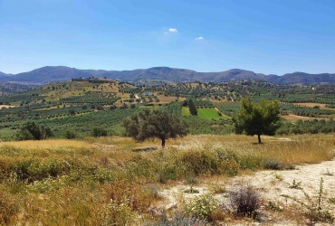 LAND PLOT 4.000 m² FOR SALE IN SIVAS