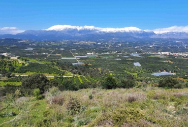 LAND PLOT 8672 m² FOR SALE IN KOUSES