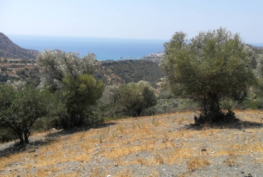 LARGE LAND PLOT 28 ACRES FOR SALE NEAR AGIA GALINI