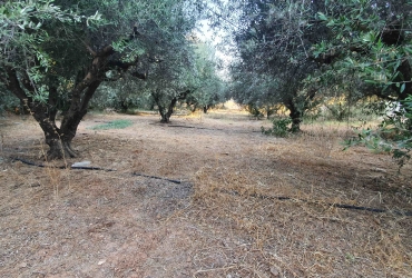 LAND PLOT 793 m² FOR SALE IN VORI