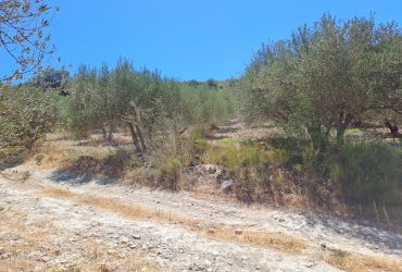 LAND PLOT 2700 m² FOR SALE IN FANEROMENI