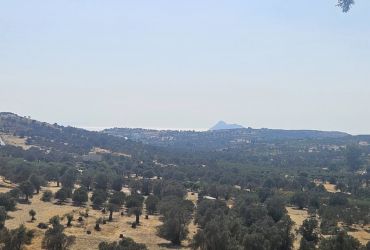 ΟΙΚΟΠΕΔΟ 3400 m²  ΠΡΟΣ ΠΩΛΗΣΗ ΣΤΟ ΣΙΒΑ