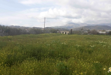 LAND PLOT 2.000 m²  FOR SALE IN KOKKINOS PIRGOS