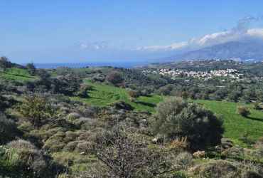 LAND PLOT 15.000 m² FOR SALE IN KOUSES