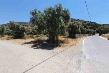 LAND PLOT 4700 m² FOR SALE IN AGIA GALINI