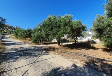  FOR SALE LAND PLOT 430 m²  IN KAMILARI