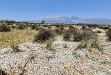 LAND PLOT 6700 m² FOR SALE IN AFRATHIAS