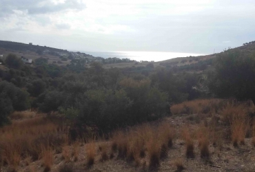 LAND PLOT 1.300 m² FOR SALE IN KALAMAKI