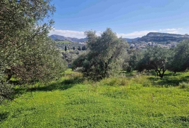 LAND PLOT 2080 m² FOR SALE IN PITSIDIA