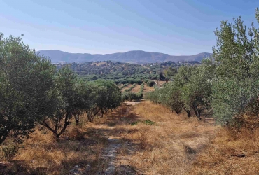 LAND PLOT 4.145 m² FOR SALE IN SIVAS