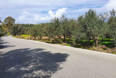 LAND PLOT 1.600 m² FOR SALE IN SIVAS